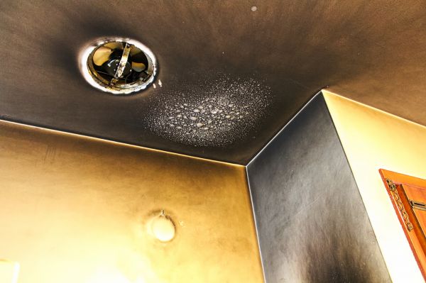 Cost of Smoke Damage Remediation in Snohomish